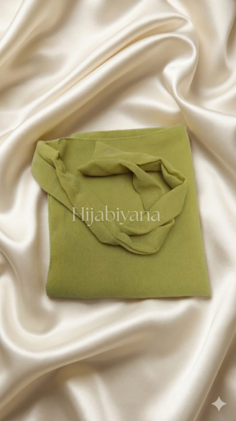 Light Pistachio Chiffon Half Niqab